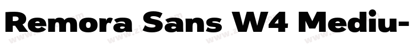 Remora Sans W4 Mediu字体转换